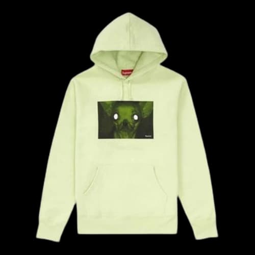 Supreme FW18 Chris Cunningham Chihuahua Hooded Sweatshirt Pale Mint