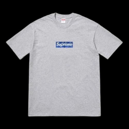 Supreme FW19 Week 17 Bandana Box Logo Tee cashew Short Sleeve Unisex Gray
