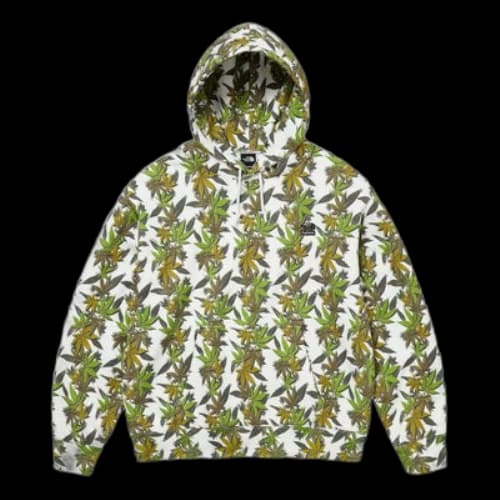 Supreme x THE NORTH FACE Leaf Hoodie 'Green'