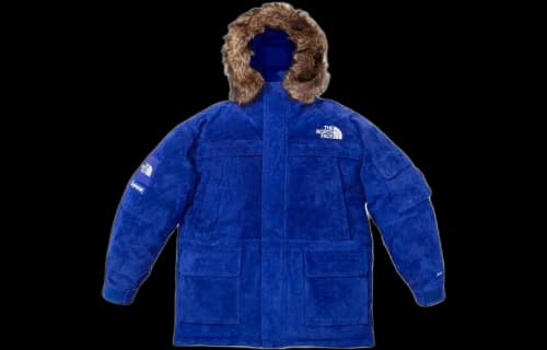 Supreme x THE NORTH FACE FW23 Week15 Suede 600-Fill Down Parka Jacket 'Beige'