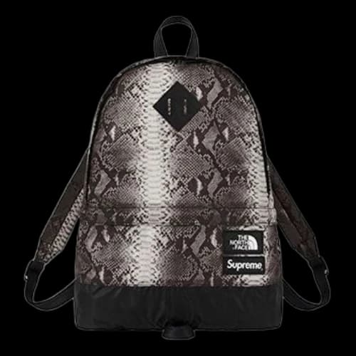 Supreme x The North Face Snakeskin Lightweight Day Backpack 'Grey White'