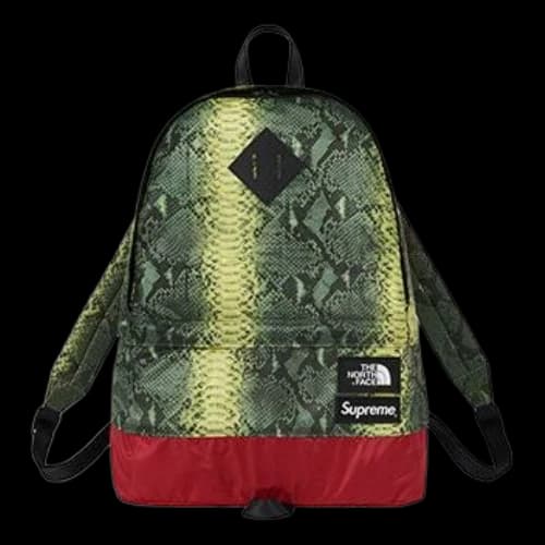 Supreme x The North Face Snakeskin Lightweight Day Backpack 'Green Yellow'