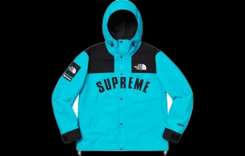 Supreme SS19 x The North Face Arc Logo Mountain Parka LightBlue