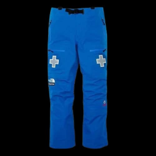 Supreme x THE NORTH FACE SS22 Week 5 Summit Series Rescue Mountain Pant