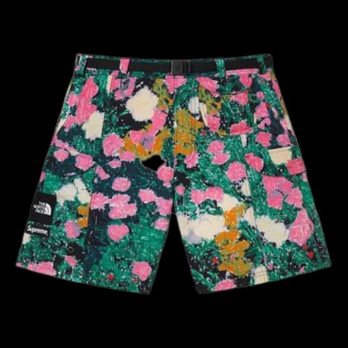 Supreme SS22 Week 16 x The North Face Trekking Packable Belted Short