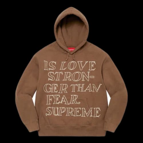Supreme Stronger Than Fear Hooded Sweatshirt 'Brown White'