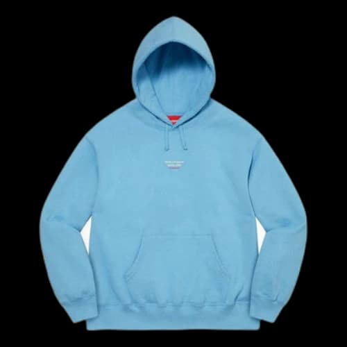 Supreme World Famous Micro Hooded Sweatshirt 'Teal'