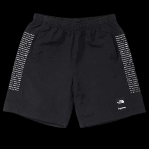 Supreme x The North Face Nylon Shorts 'Black White'