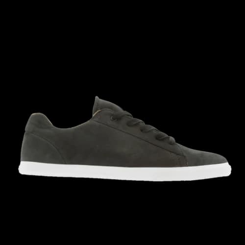 Supra Assault NS