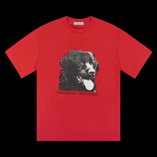 Saintwoods T-Shirt 'Red'