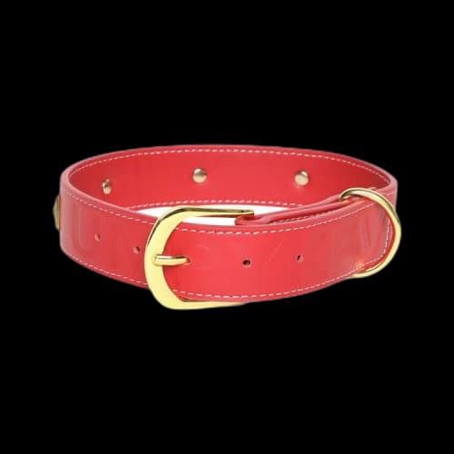 Saintwoods Leather Dog Collar 'Red'