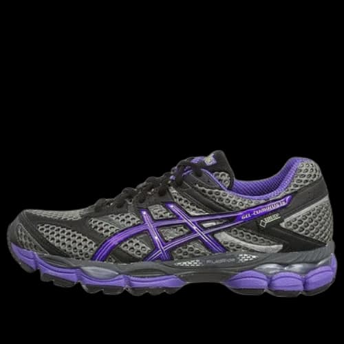 Asics Gel-Cumulus 16 GTX 'Grey Purple' (Women's)
