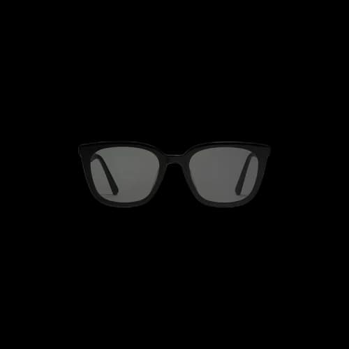 Gentle Monster Tam 01 Sunglasses 'Black'