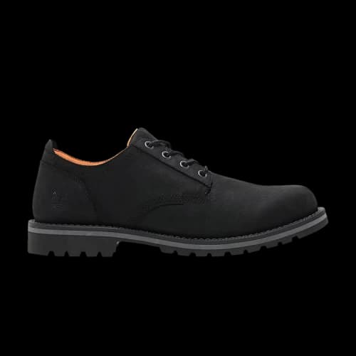 Timberland Redwood Falls Waterproof Shoe 'Black'