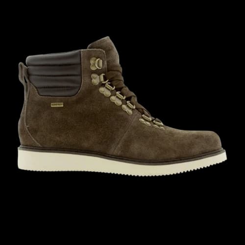 Timberland Abington Hiker GTX Boot
