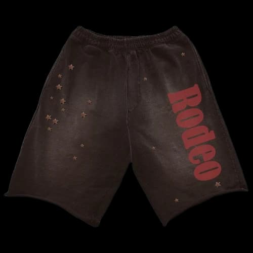 Cactus Jack by Travis Scott x Sp5der Days Before Rodeo Shorts 'Brown'