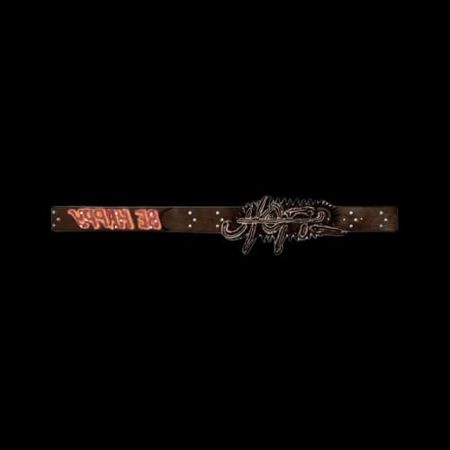 Cactus Jack by Travis Scott Studded Utopia Belt 'Brown'