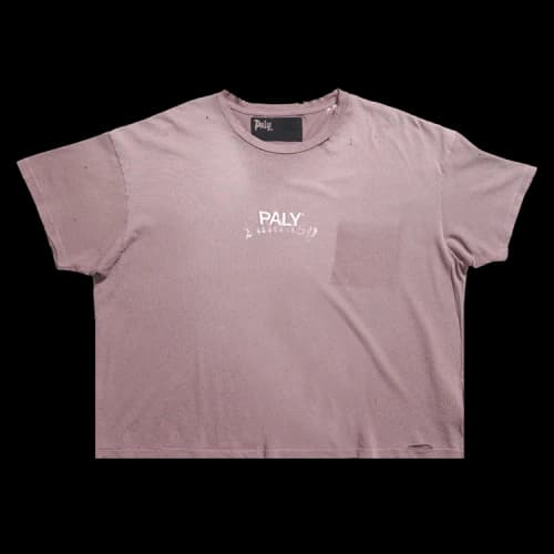 Paly Hollywood Core Logo Tee 'Brown'