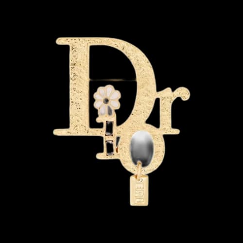 Dior x ERL Brooch 'Gold'