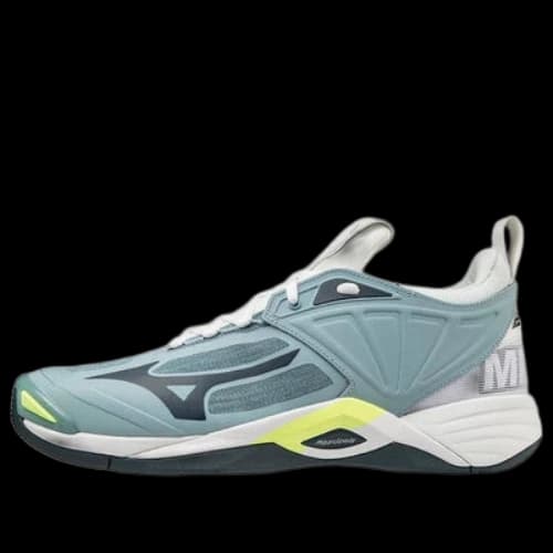 Mizuno Wave Momentum 2 'Grey'