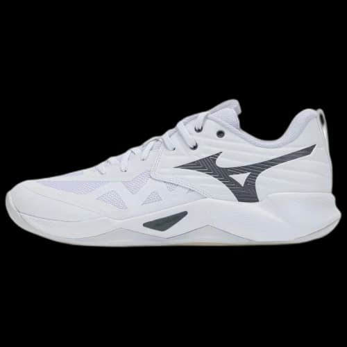 Mizuno WAVE MOMENTUM PRO Volleyball Shoes Unisex Low Top White/Black