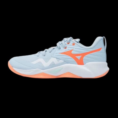 Mizuno WAVE MOMENTUM PRO Volleyball Shoes Unisex Low Top Blue/Orange