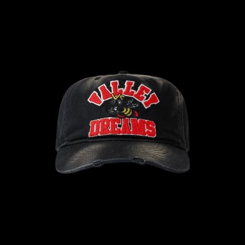 Vale Forever Wrecked Anthem Cap 'Dest/Black'