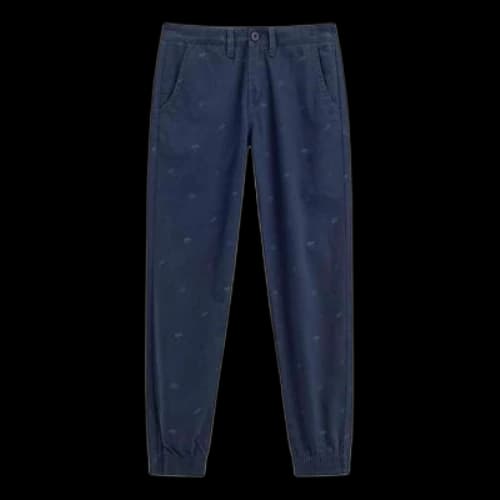 Vans Regular Fit Pants 'Blue'