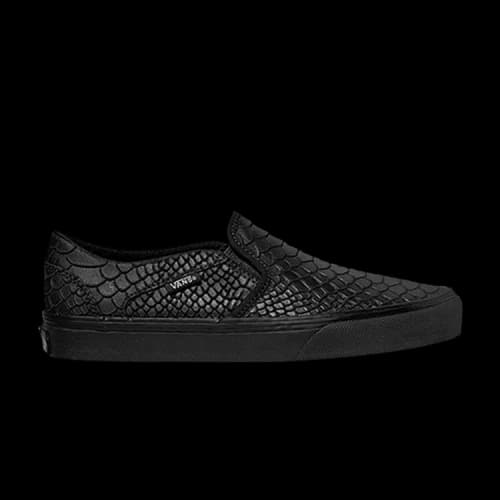 Vans Asher 'Snake' (Women's)