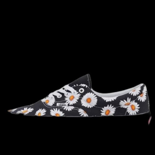 Vans Big Daisies Era Low Tops Casual Skateboarding Shoes Unisex Black