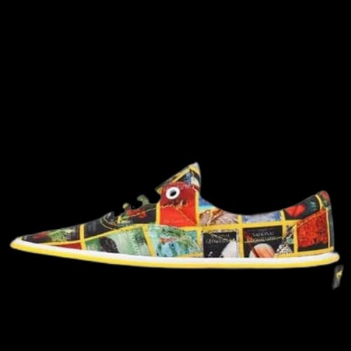 Vans x National Geographic Era 'White Yellow'