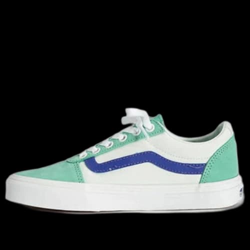 Vans Ward Skate shoes 'Peppermint Green'