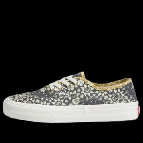 Vans Authentic Vr3 Sf 'Gray White'