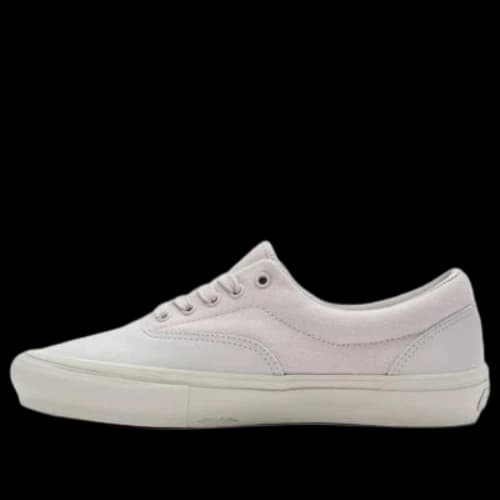 Vans MONO SKATE ERA 'Beige'