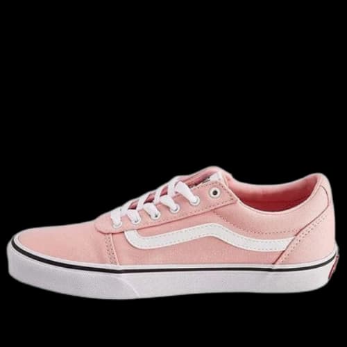 Vans Ward Skate shoes BP Pink