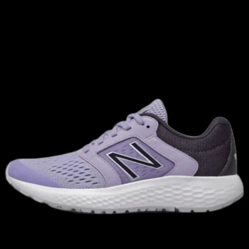 New Balance 520 v5 Shoes Purple (Women's)