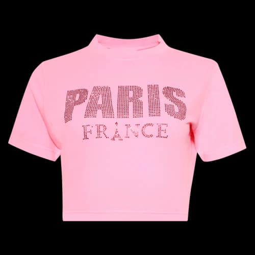 Vetements Crystal Paris Cropped T-Shirt 'Pink'