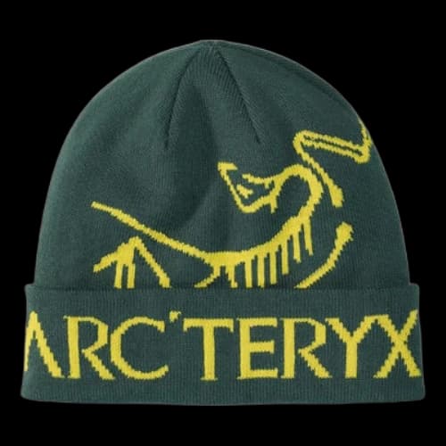 Arc'Teryx Bird Word Toque 'Lampyre Pytheas'