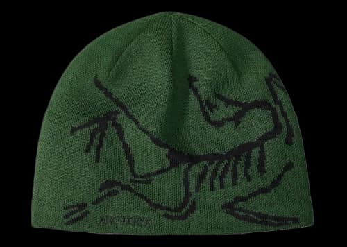 Arc'teryx Bird Head Toque Beanie Eden/Black