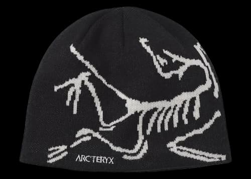 Arc'teryx Bird Head Toque Edziza/Relic