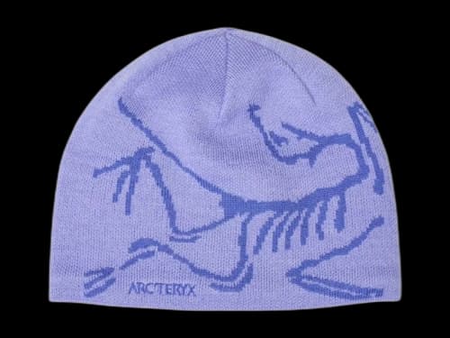 Arc'teryx Bird Head Toque Beanie Moonstone/Electra