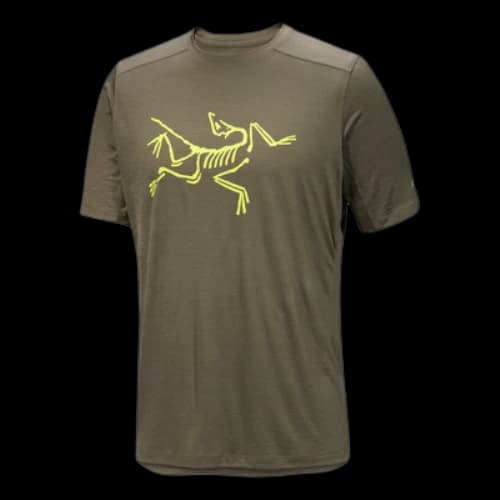 Arc'Teryx Ionia Merino Wool Logo T-Shirt 'Olive Green'