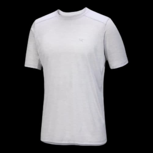 Arc'Teryx Ionia Merino Wool T-Shirt SS 'Grey'
