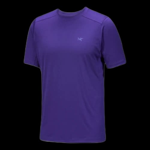 Arc'Teryx Ionia Merino Wool T-Shirt SS 'Purple'