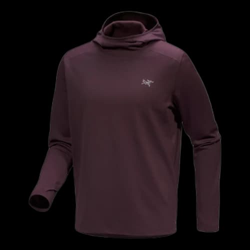 Arc'Teryx Cormac Heavyweight Hoody Top 'Purple'