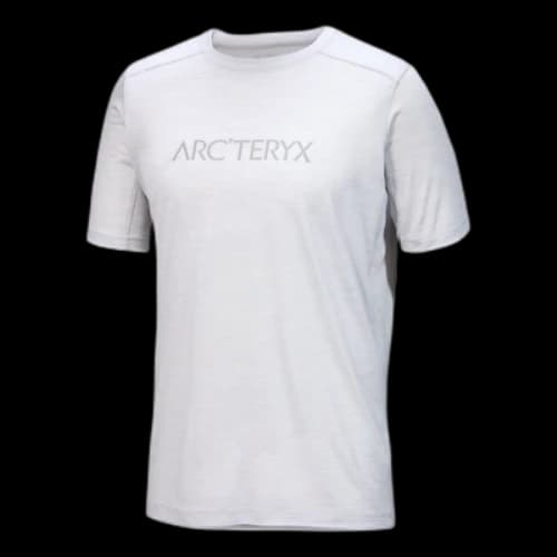 Arc'Teryx Ionia Merino Wool Arc'Word Logo T-Shirt SS 'Grey'