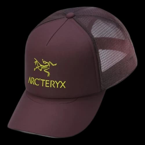 Arc'Teryx Bird Word Trucker Curved Hat 'Purple'