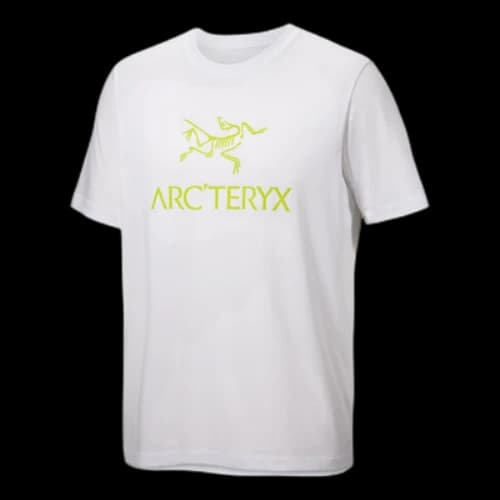 Arc'Teryx Arc'Word Logo T-Shirt 'White Green'