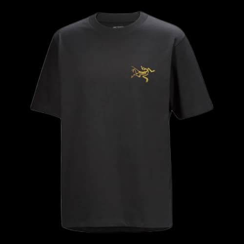 Arc'Teryx Kragg Cotton Logo T-Shirt 'Black'