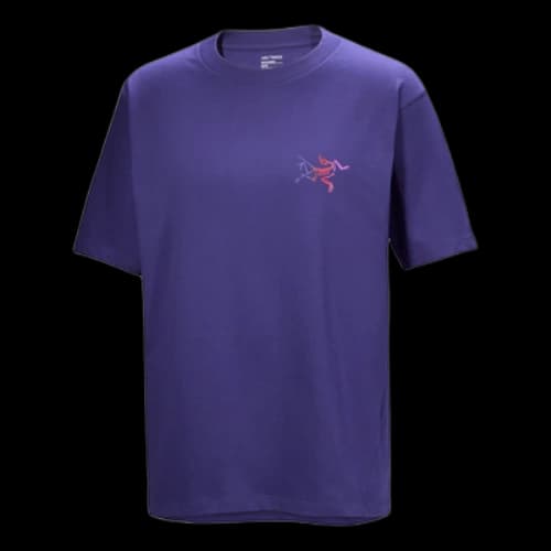 Arc'Teryx Kragg Cotton Logo T-Shirt 'Purple'